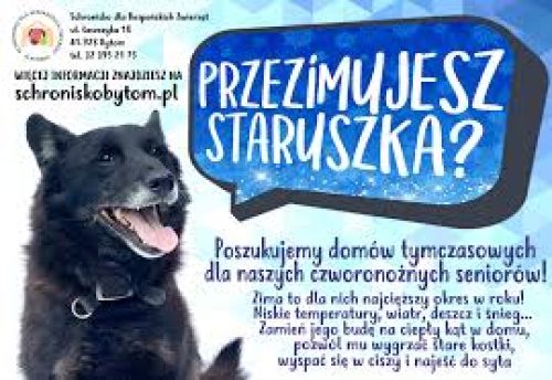 Ilustracja artykułu: "Przezimujesz staruszka?"