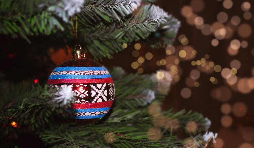 Ilustracja artykułu: "Co zrobić z choinką po świętach?"