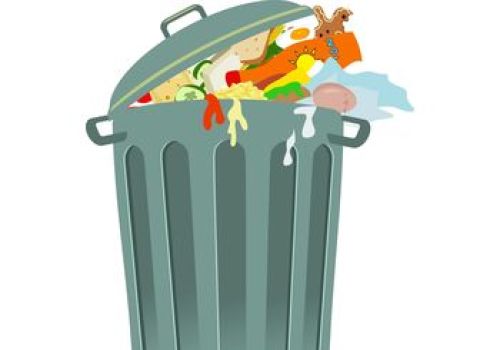Ilustracja artykułu: "Harmonogram odbioru odpadów w I półroczu 2025 roku"